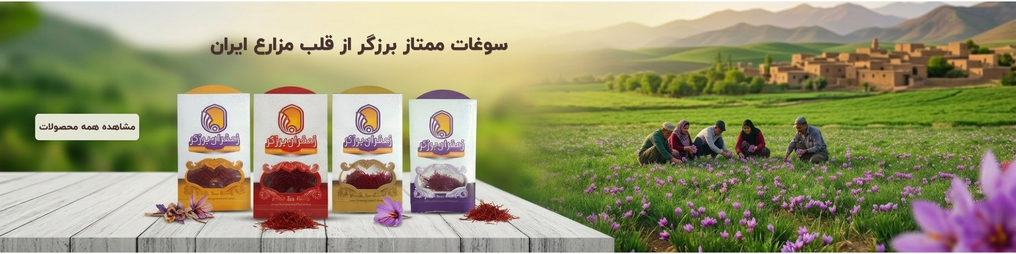 خرید زعفران سر گل برزگر